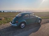 Volkswagen Käfer - gebrauchte VW Käfer aus dem Jahr 1975