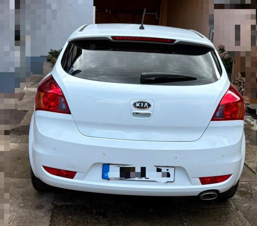 Kia pro_cee'd / ProCeed 1.6 CVVT Dream-Team pro_...