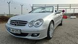Mercedes-Benz Bi-Xenon Kompres. Avantgarde+Sportpaket 71.000km - aus 2006: Cabrio
