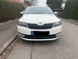 Skoda Rapid 1.4 TSI DSG - Skoda Rapid in München