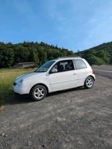 Volkswagen VW Lupo Oxford 1.0 | TÜV bis 08/2027 - Volkswagen Lupo: Oxford