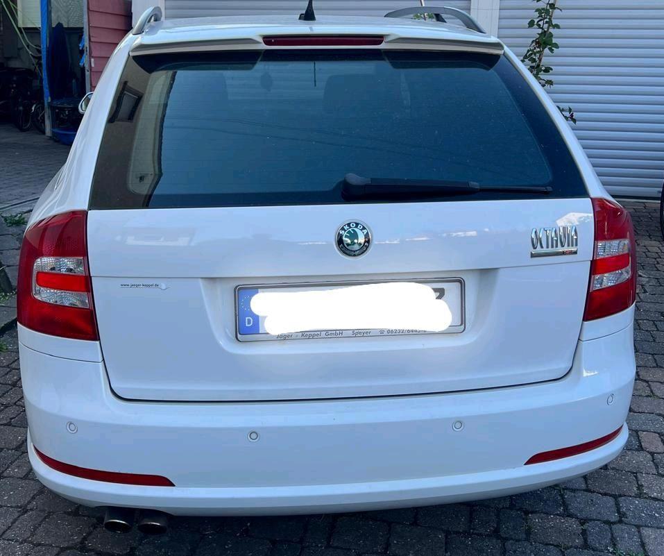 Skoda Octavia 2008 — rear view