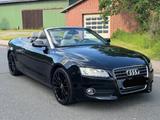 Audi A5 Cabriolet 2.0 TFSI Tüv Neu Top Zustand AHK - Audi A5 aus 2009: Cabrio