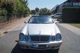 Mercedes-Benz CLK 230 K AVANTGARDE final edition, Top Zustand - Mercedes-Benz CLK 230 aus 2003