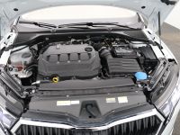 Skoda Octavia - Vorschau Bild 18