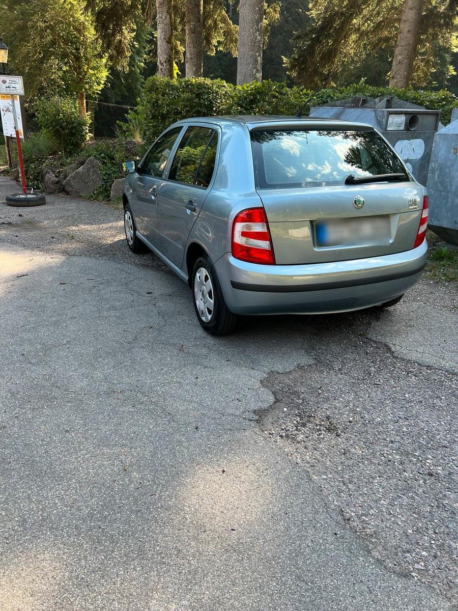 Skoda Fabia 2007 — photo 8