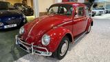 Volkswagen Käfer - gebrauchte Volkswagen Käfer aus dem Jahr 1965
