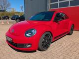 Volkswagen Beetle Lim. Sport 20" BBS Leder Apple Carplay - Volkswagen Beetle: Sport