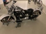 Harley-Davidson Softail Deluxe FLSTNI - Offers matching your search criteria