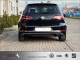 Volkswagen Golf 1.0 TSI CarPlay DYNAUDIO ab 49 EUR Rate - Volkswagen Golf: Eu
