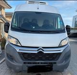 Citroën Citroen Jumper Frischdienst-Umbau / Kühlfa... - Citroën Jumper in Köln