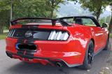 Ford Mustang 5.0 Ti-VCT V8 GT auto GT - Ford Mustang mit Benzin-Antrieb: Cabrio, 5.0