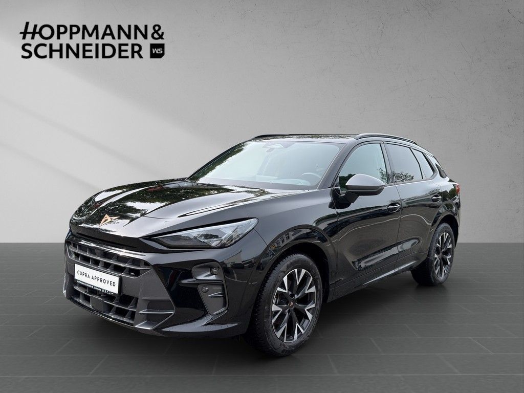 Image of Cupra Terramar