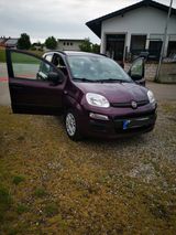 Fiat New Panda 1.2 8V MYSTYLE MYSTYLE - Fiat New Panda von privat
