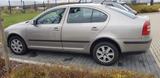 Skoda Octavia 1,9 TDI 1. Hand - Skoda Octavia aus 2009 mit Diesel-Antrieb