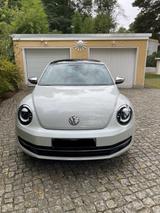 Volkswagen Beetle 1.4 TSI DSG BMT Exclusive Sport Exclu... - Volkswagen Beetle: Exclusive Sport