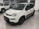 Fiat Panda 1.0 FireFly S&S Hybrid Sport - Fiat Panda Sport mit Hybrid-Antrieb (Benzin/Elektro)