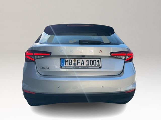 Fabia Selection 1.0 TSI, Rückkamera, Kessy, Wint