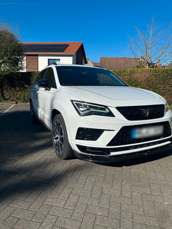 Image of Other Other