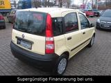 Fiat Panda 1.1 8V Active,SERVO,GARANTIE,1-HAND - Fiat Panda Active mit Benzin-Antrieb