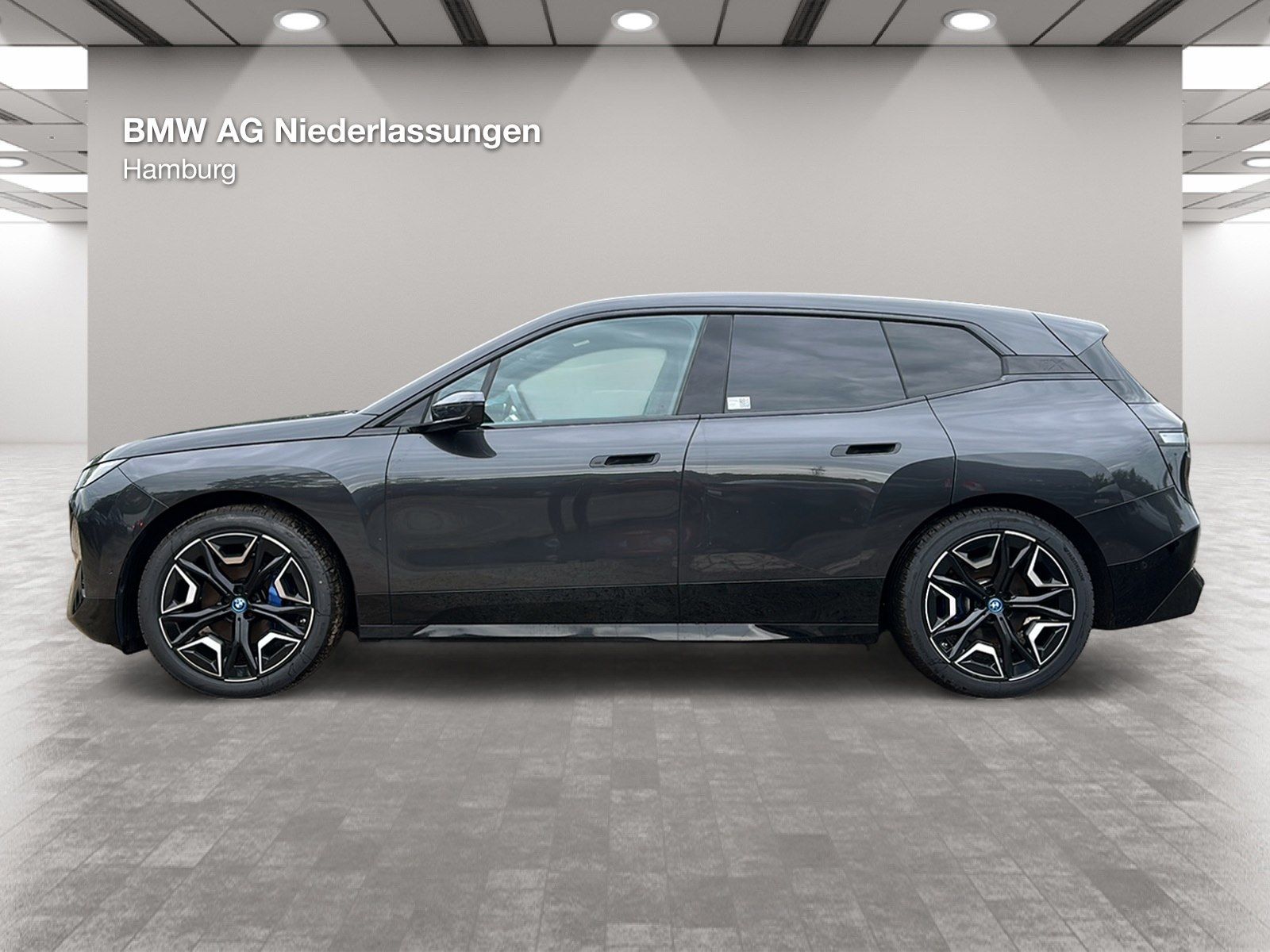 BMW iX xDrive40 AHK Driv.Assist.Prof Harman/K Laser imagem 2