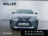 Lexus UX 250h Launch Edition *Bi-LED*ACC*CAM*SHZ*Navi* - Lexus UX Gebrauchtwagen