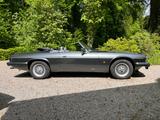 Jaguar XJS - Jaguar XJS von privat