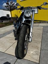 Harley-Davidson Street Rod - HARLEY-DAVIDSON STREET ROD