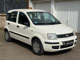 Fiat Panda 1.1 8V Active*4TÜREN+KLIMA+TÜV Neu* - Fiat Panda Gebrauchtwagen in Krefeld