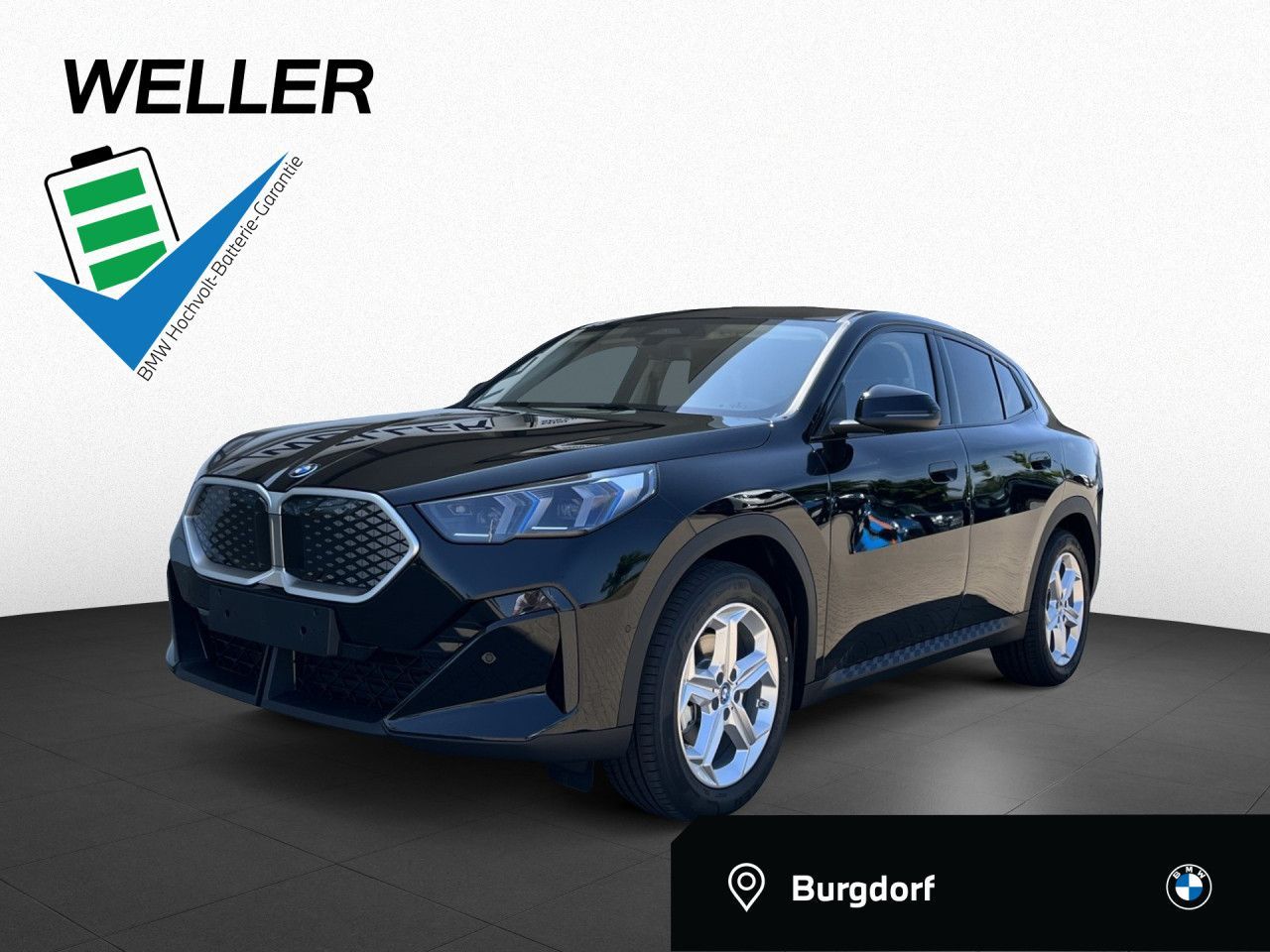 BMW iX2 eDrive20, AHK, Parking Assistant, Adapt. LED