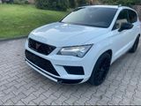 Other Cupra Ateca (AHK , 360 Grad Kamera, Ambien... - Other in Duisburg
