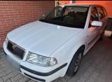 Skoda Octavia 1.6 16V Zahnriemensatzt NEU - Skoda Octavia aus 2001: Kombi