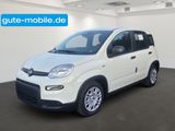 Fiat Panda Pandina Hybrid MY25 70PS  - Fiat Panda Tageszulassungen mit Benzin-Antrieb: Limousine