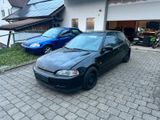 Honda Civic EG6 VTI (Projektaufgabe) B16A2 - Honda Civic aus 1992