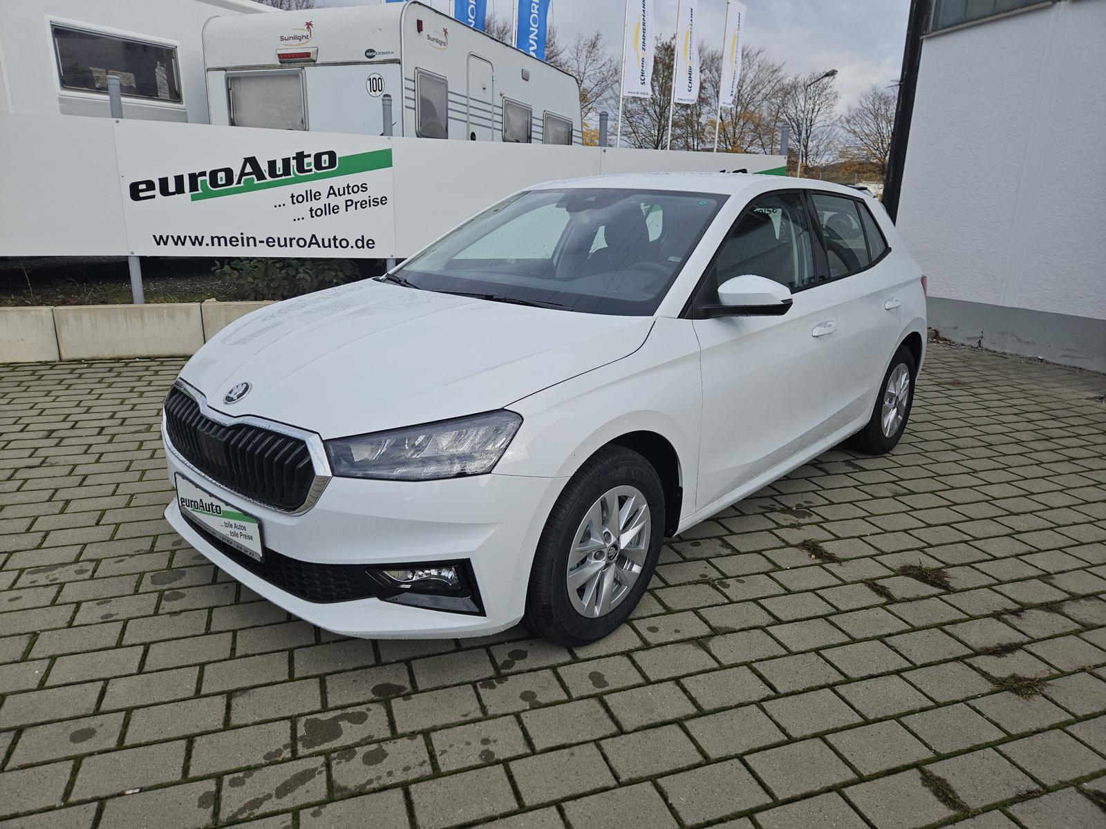 Skoda Fabia Selection 1.0 TSi DSG AHK 5 J. Garantie