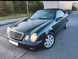 Mercedes-Benz CLK 230 KOMPRESSOR AVANTGARDE Avantgarde - Mercedes-Benz CLK 230 Gebrauchtwagen