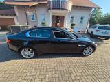 Jaguar XE 20d 180PS AWD Pure Automatik Pure - Jaguar XE: Pure