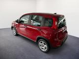 Fiat Panda 1.0 GSE /RADIO/KLIMA/PDC H/DAB - Fiat Panda aus 2024