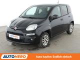Fiat Panda 1.2 More*PDC*KLIMA*LM-FELGEN*GARANTIE* - Fiat Panda: Schwarz