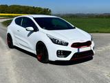 Kia cee'd / Ceed 1.6 T-GDI GT-Challenge | Unikat  - Kia cee'd / Ceed von privat