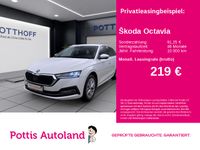 Skoda Octavia - Vorschau Bild 1