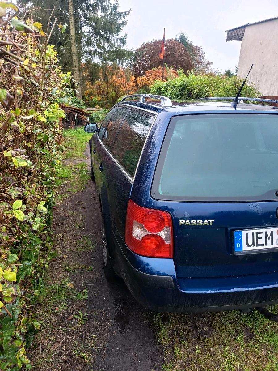 Volkswagen Passat 2005 — photo 5