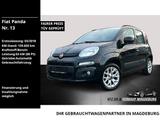 Fiat Panda Lounge /E13 - Fiat Gebrauchtwagen in Magdeburg