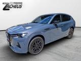 Mazda CX-60 3.3 e-SKYACTIV D 254 Homura Plus BOSE Napp - Mazda CX-60 Gebrauchtwagen