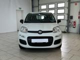 Fiat Panda 1.2 Easy KLIMA - Fiat Panda Gebrauchtwagen in Hannover