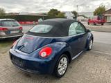 Volkswagen New Beetle Cabriolet 1.9 TDI*KLIMA*EFH*SZH* - Volkswagen New Beetle mit Diesel-Antrieb: Cabrio