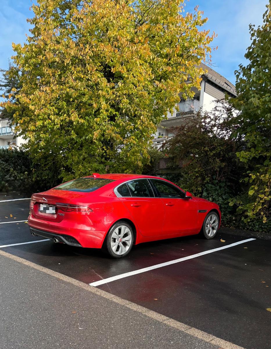 Jaguar XE P250 S 