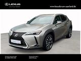 Lexus UX 250h FWD Style Edition - silberne Lexus UX