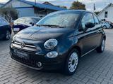 Fiat 500 1.0 Dolcevita Mild Hybrid *Pano*PDC*Carplay* - Fiat 500 aus 2022
