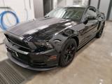 Ford Mustang - Ford Mustang in Mainz